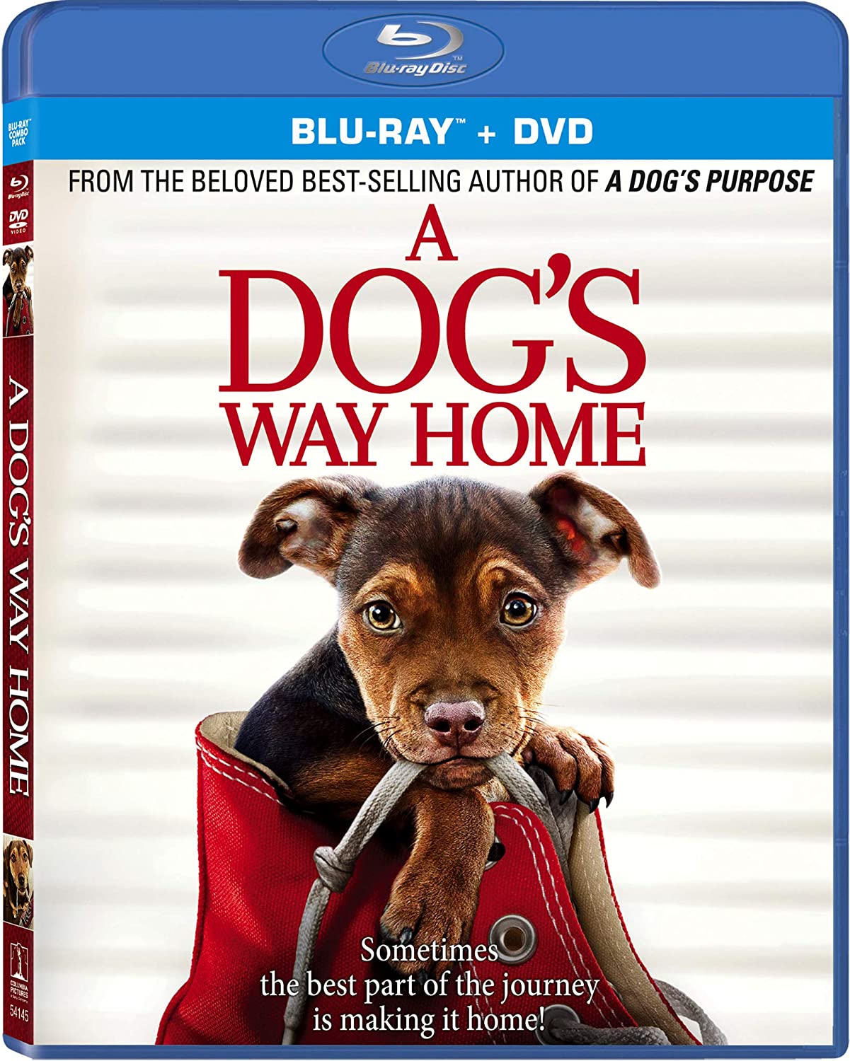A Dog's Way Home Blu-ray + DVD + Digital